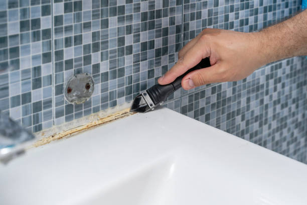 Best Office Mold Removal Services  in Alamo, GA