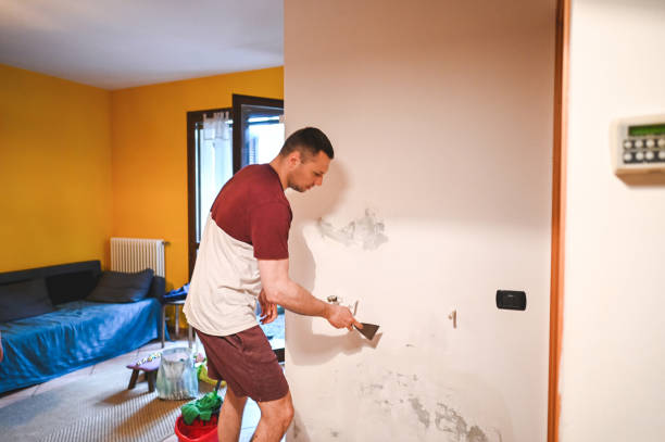 Best Mold Removal Near Me  in Alamo, GA